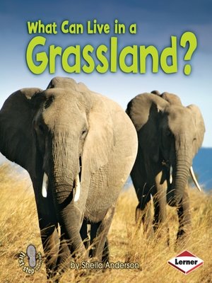 cover image of What Can Live in a Grassland?